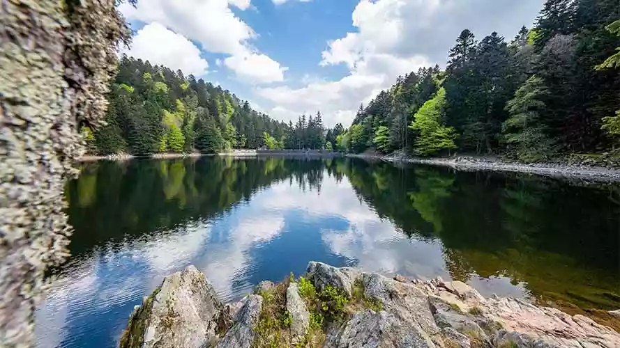lac-altenweiher-vallée-de-munster